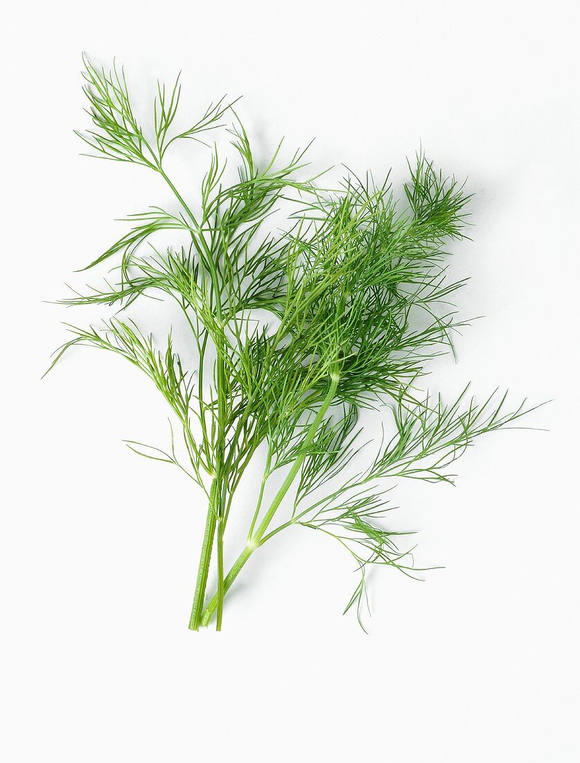 Fresh dill