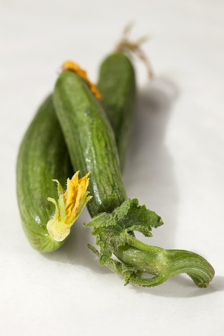 Three mini cucumbers with flowers