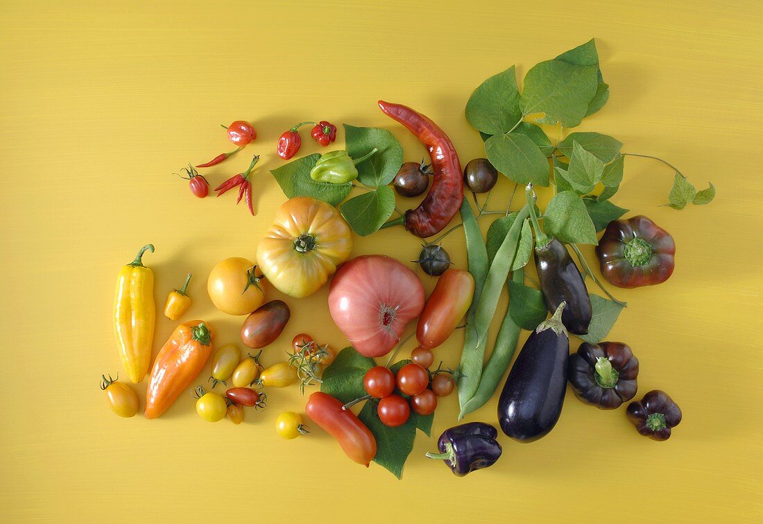 A variety of summer vegetables
