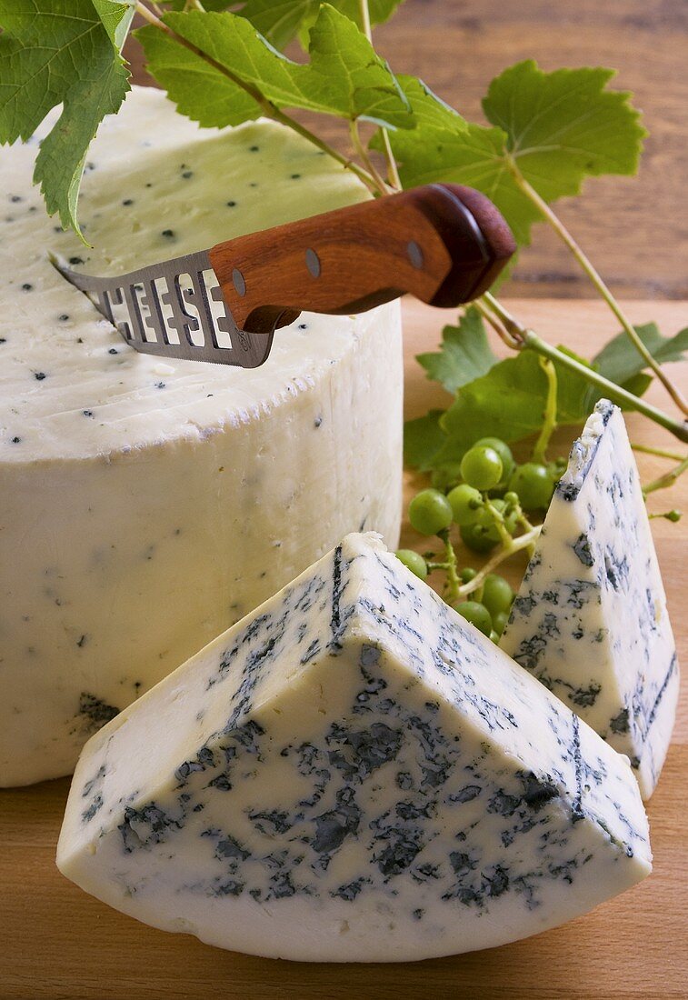 Blue cheese with cheese knife