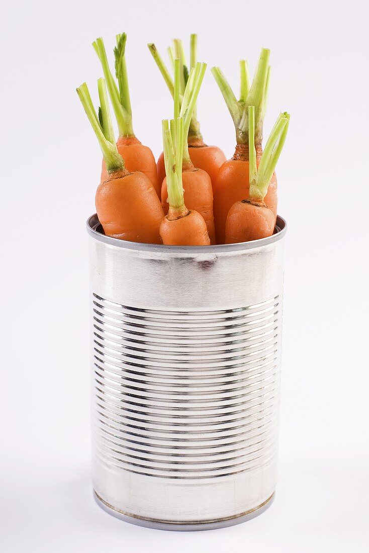 Fresh carrots in a tin
