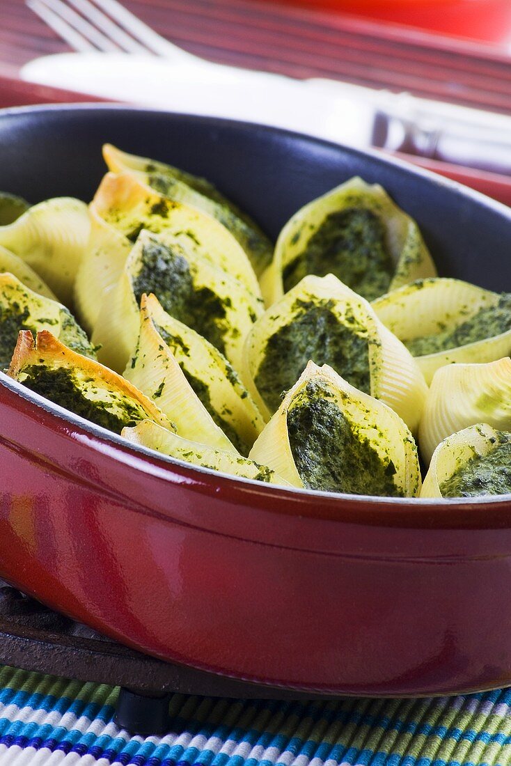 Conchiglie pasta filled with spinach