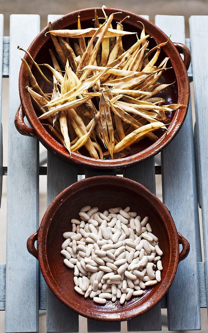 Two bowls of white cocos beans and pods