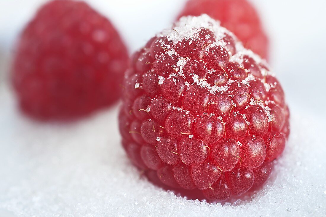 Drei Himbeeren auf Zucker (Nahaufnahme)