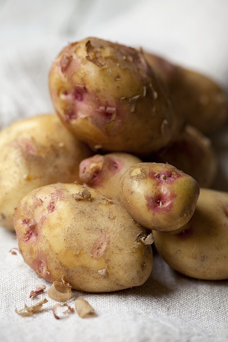 Potatoes (variety: King Edward)