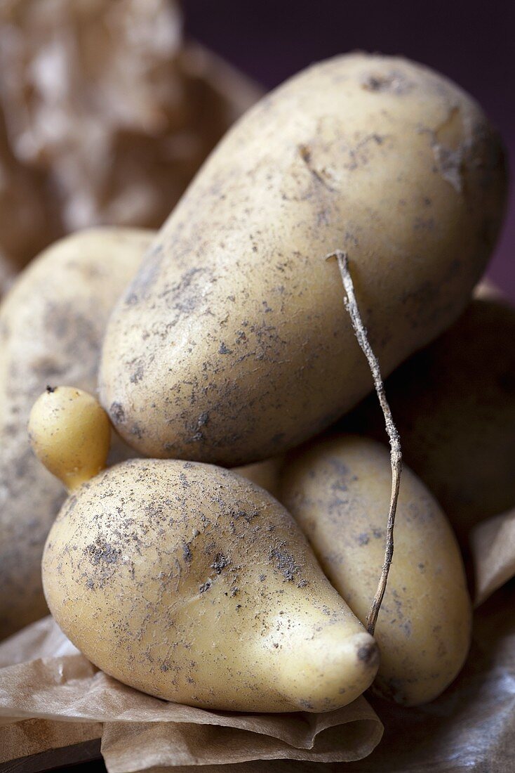 Potatoes (variety: Charlotte)