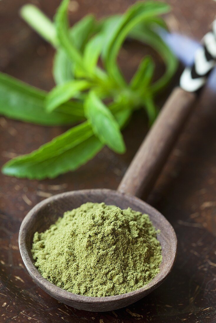 Stevia powder