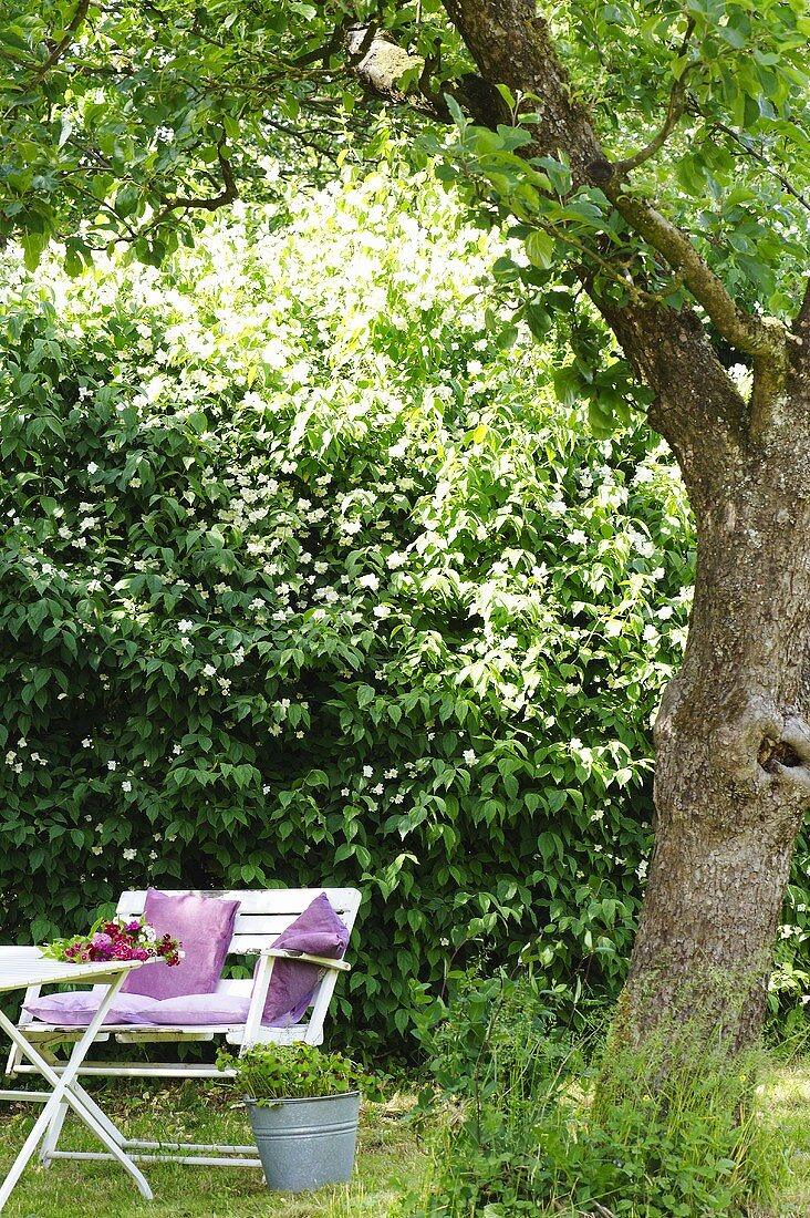 Jasminhecke und Gartenmöbel im Bauerngarten