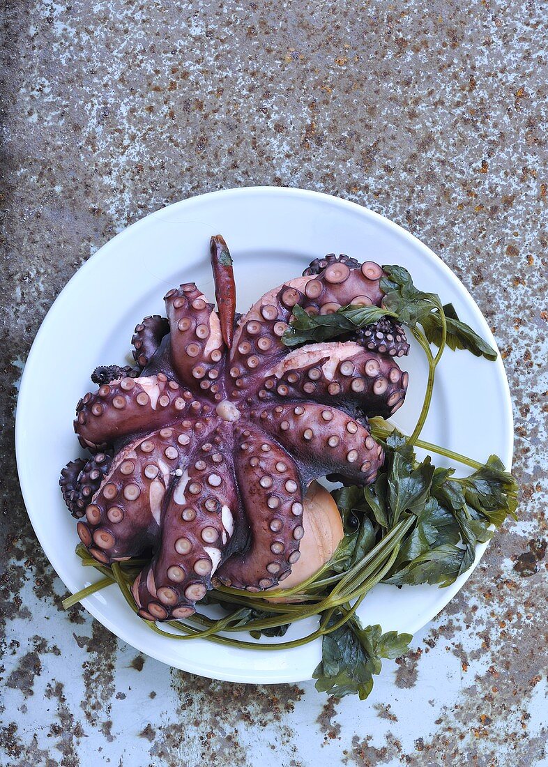A cooked octopus on a plate, seen from above