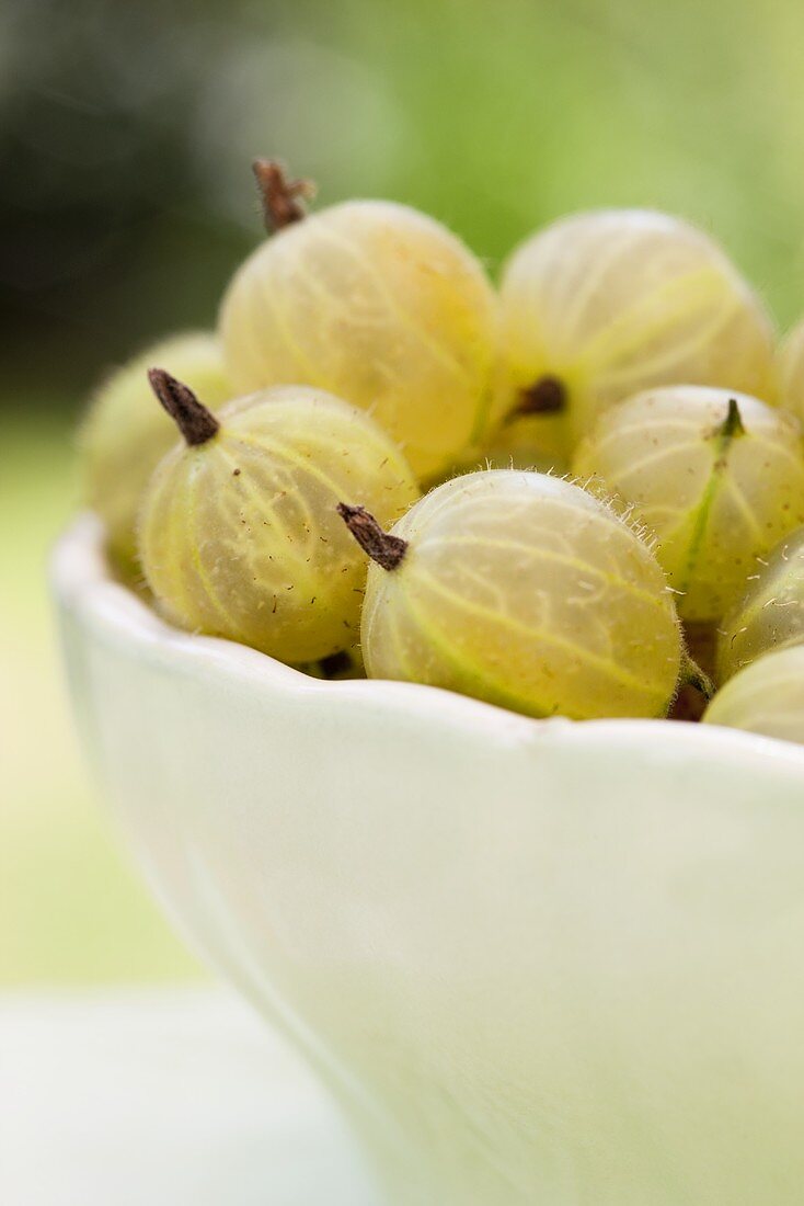 A bowl of gooseberries