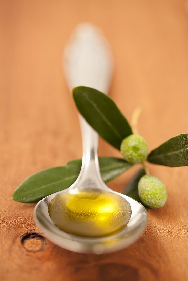 A spoonful of olive oil with an olive twig