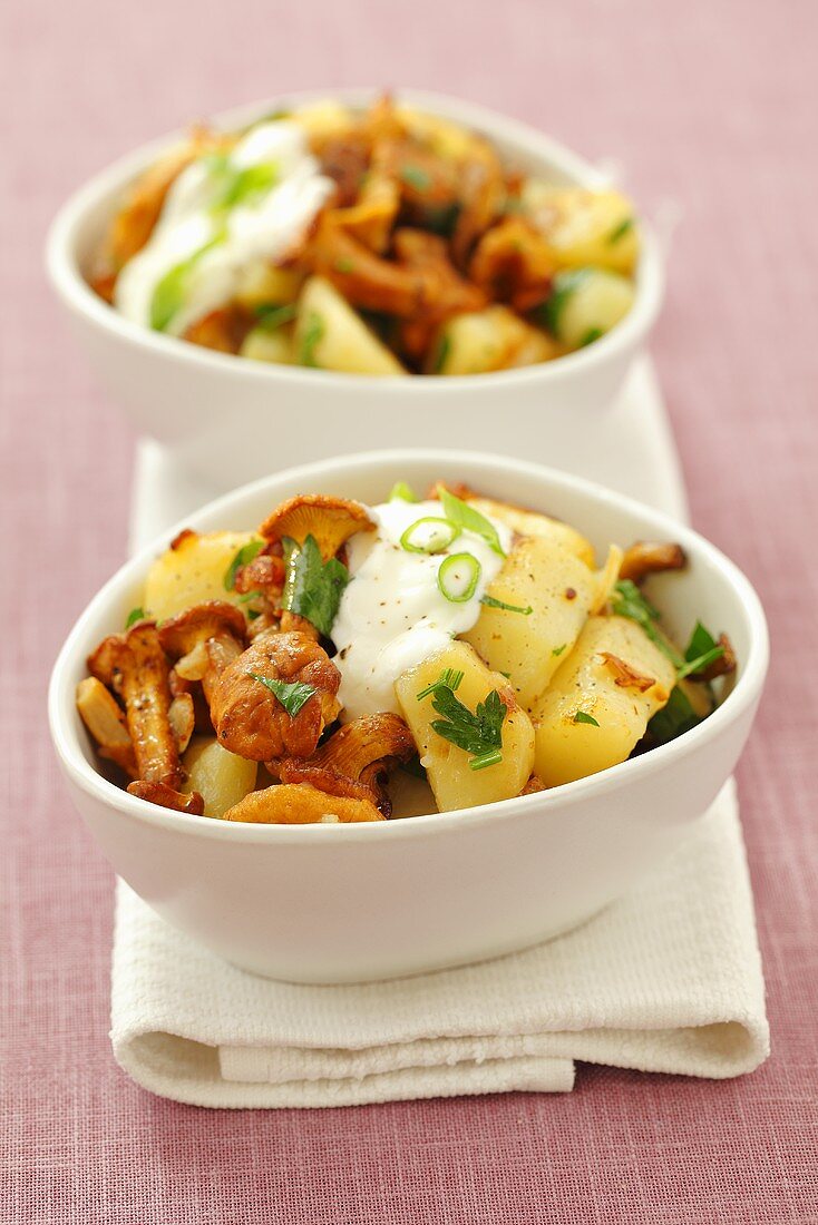 Fried potatoes with chanterelle mushrooms and sour cream