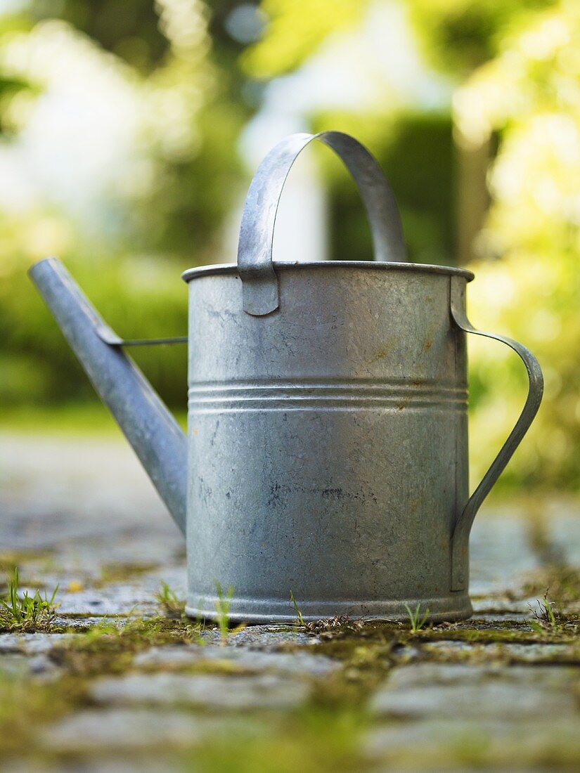 A watering can on a garden path