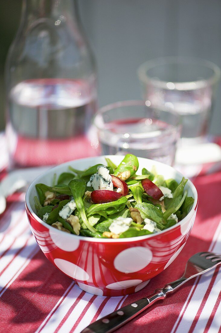 Mixed leaf salad with cherries, blue cheese and nuts