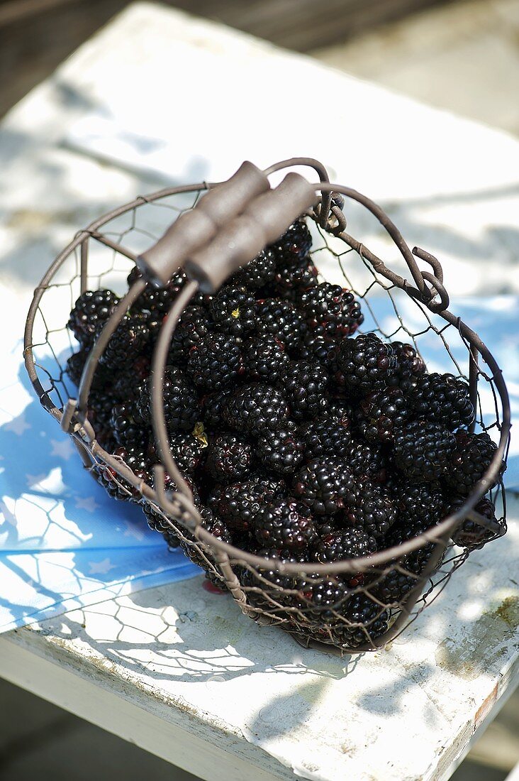 Blackberries in a wire basket