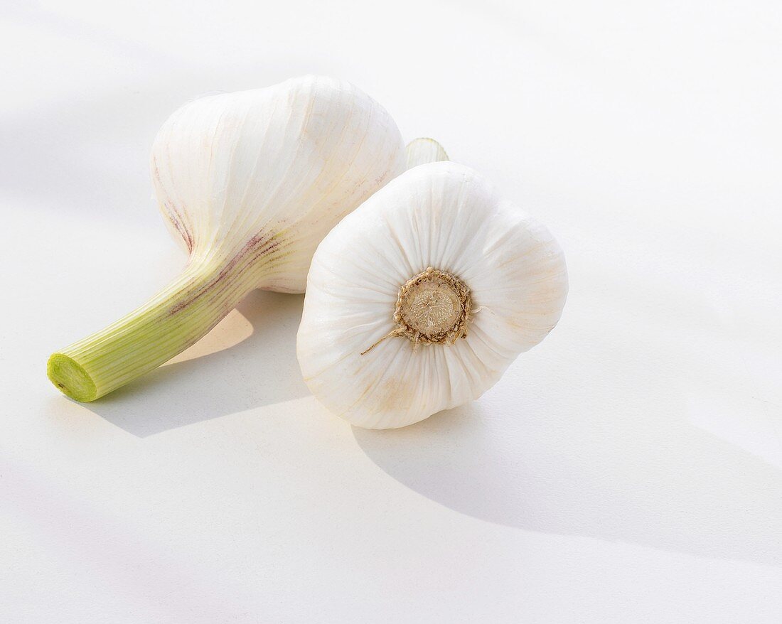 Fresh Green Garlic