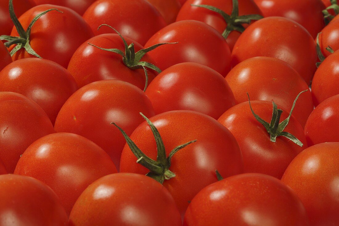 Tomatoes (macro zoom)