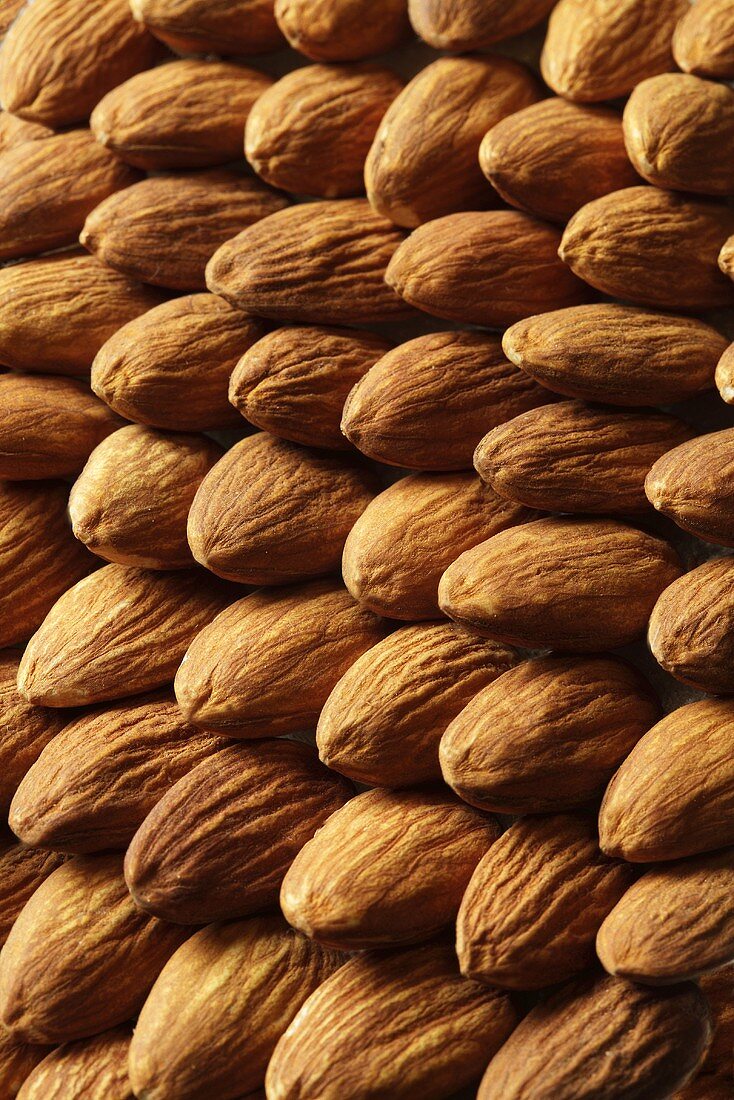 Almonds, macro zoom