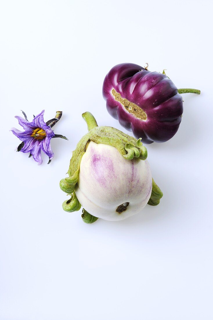Aubergines (cultivars: Rotonda Bianca Sfumata and Big Purple)