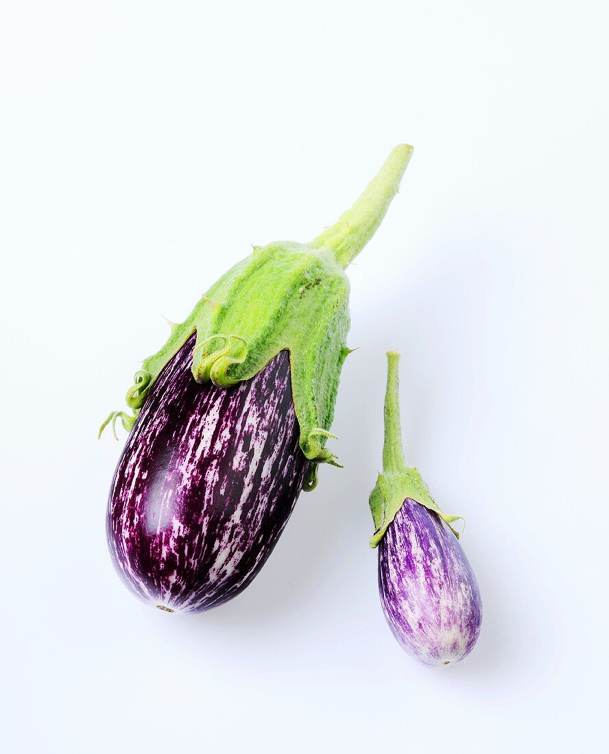 Aubergines (cultivar: Zebra)