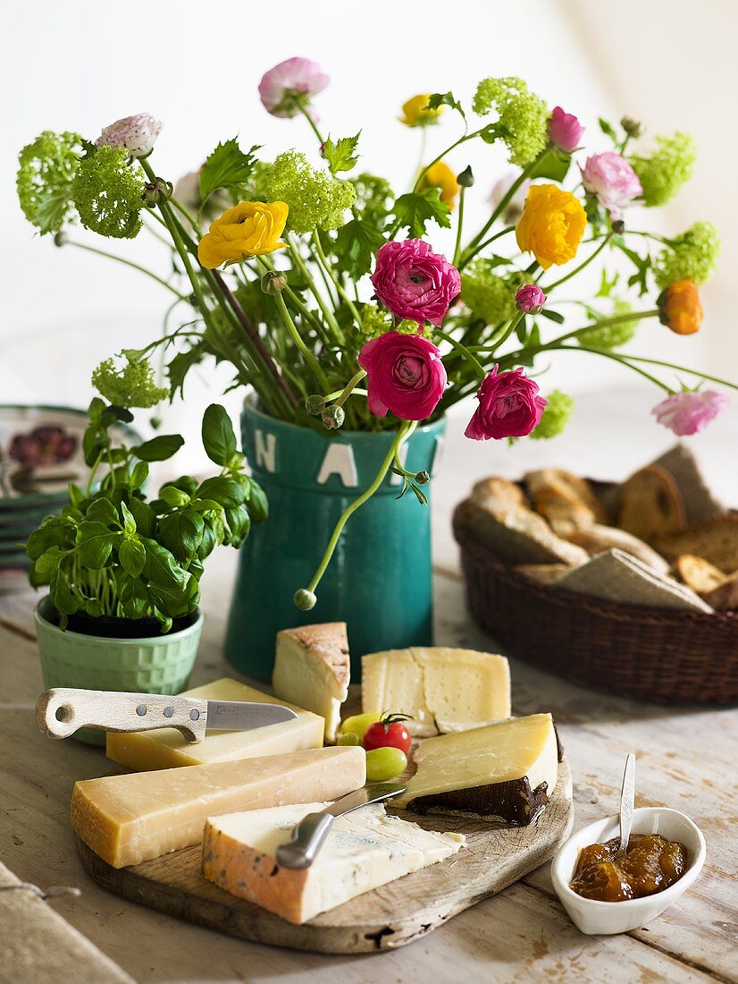 Gemischte Käseplatte mit Brot und Feigenmarmelade