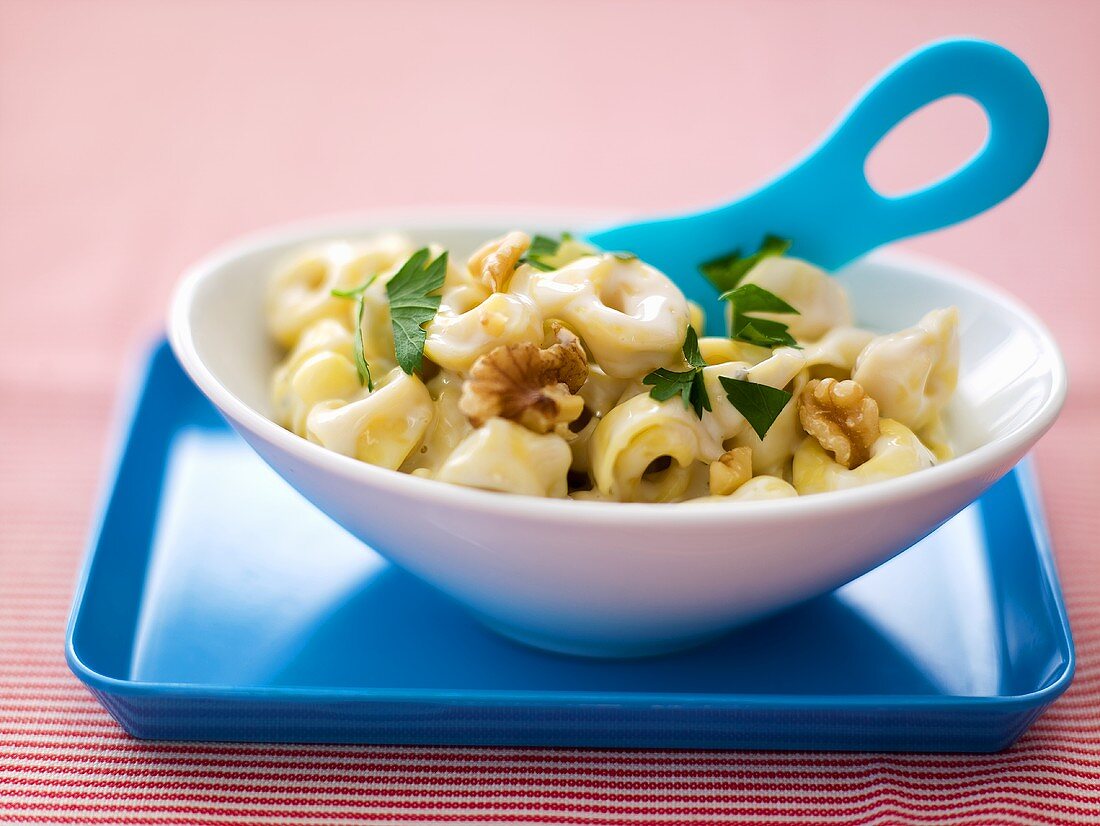 Tortellini with a creamy sauce and walnuts