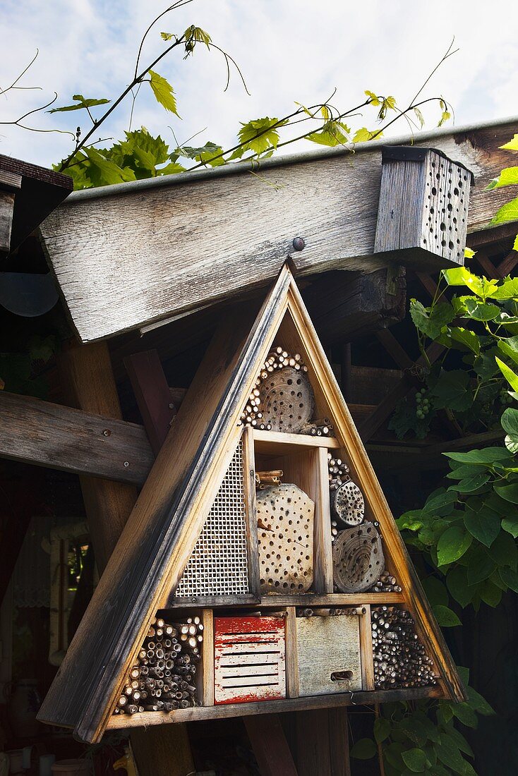 Insektenhotel an einem Gartenhäuschen