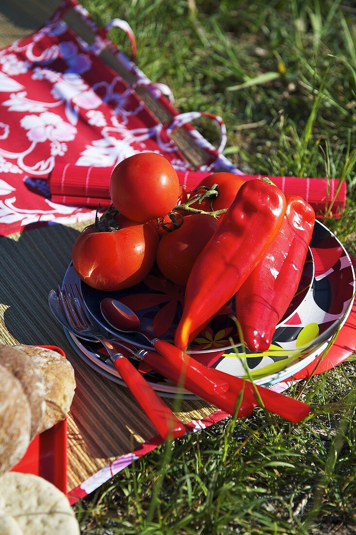Tomaten, Paprika, Besteck und Teller auf einer Picknickdecke