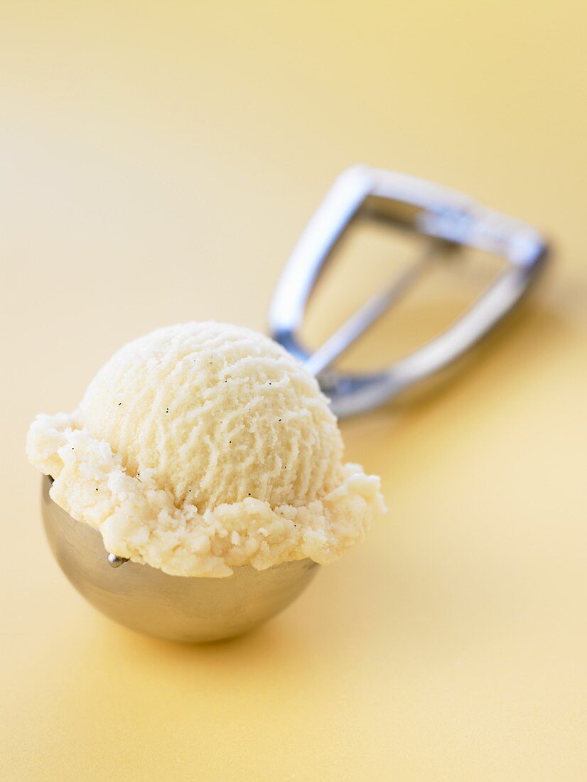 A scoop of vanilla ice cream in an ice cream scoop
