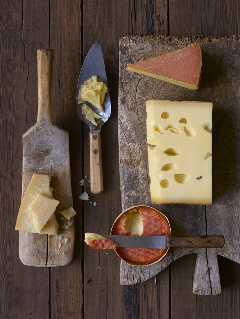 Fünf verschiedene Käsesorten auf Holzbrettern
