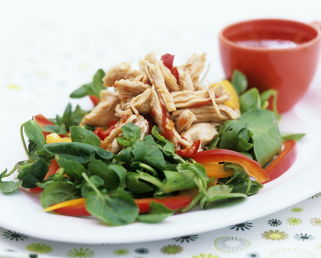 Strips of steamed chicken breast with pepper & cress salad