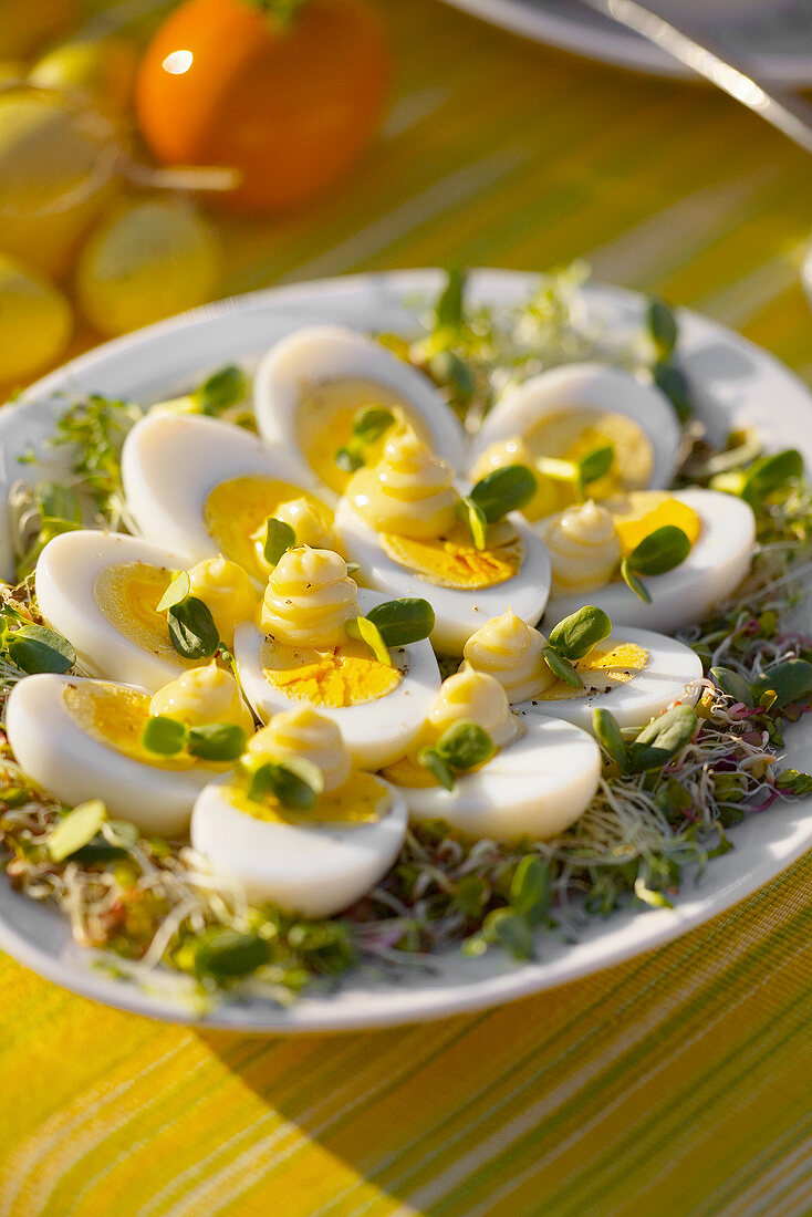 Hard-boiled eggs with mayonnaise on radish sprouts