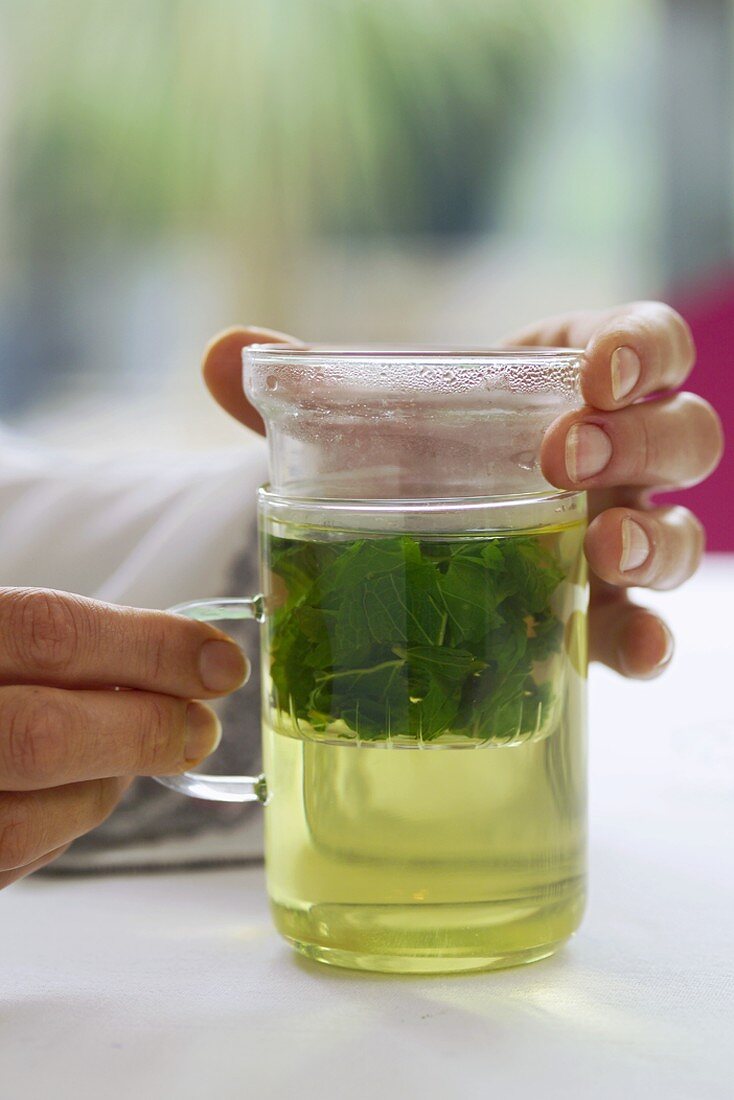Frau hält ein Glas Grünen Tee mit Minze in den Händen