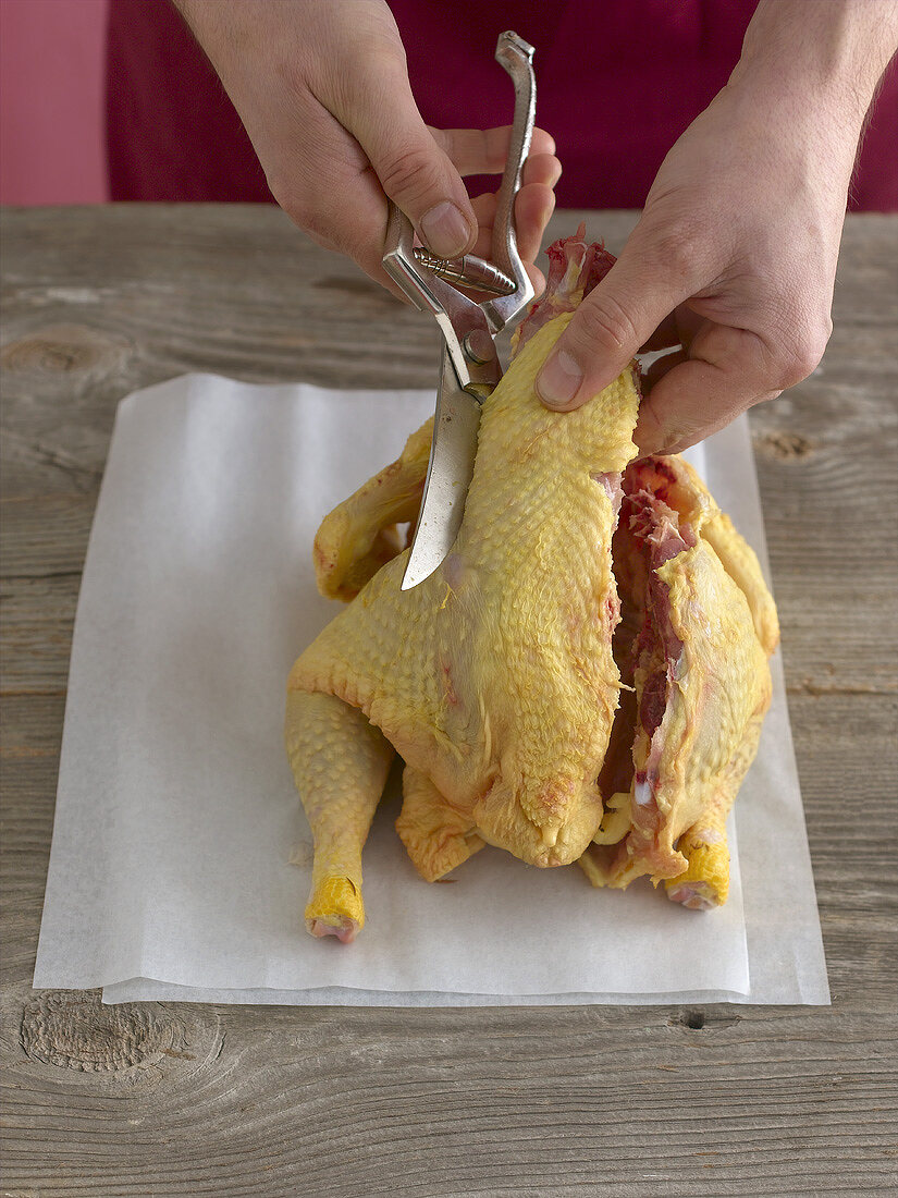 Man jointing a corn-fed poularde with poultry shears