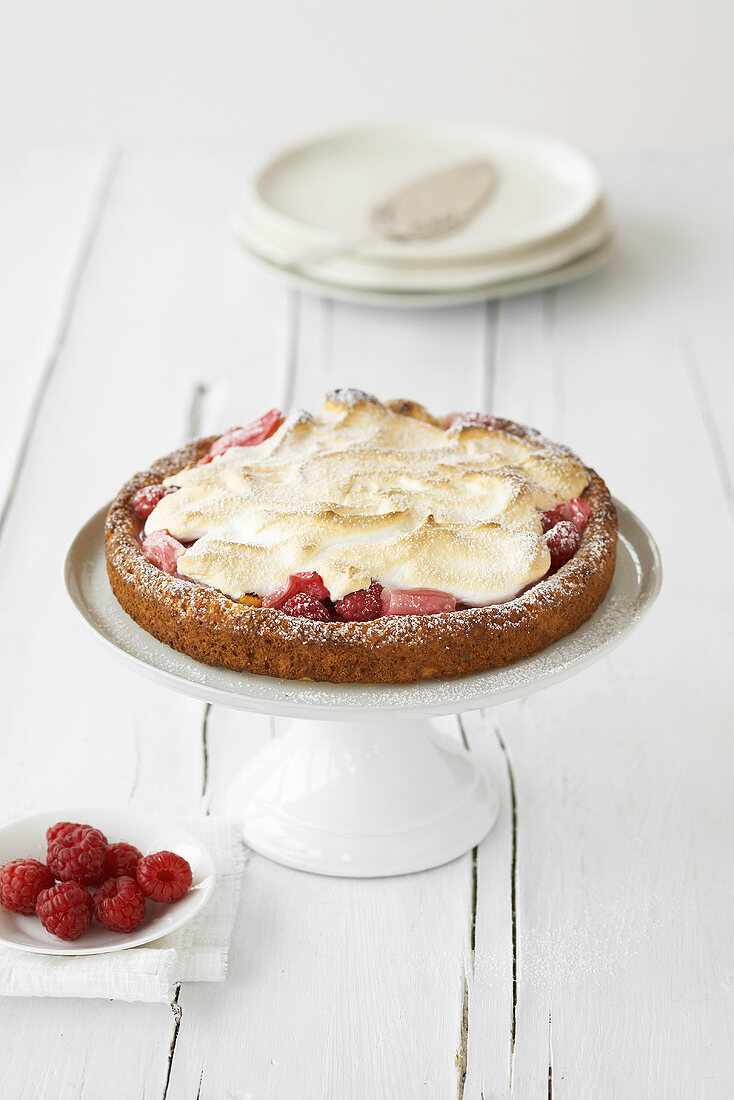 Rhubarb and raspberry flan with meringue topping