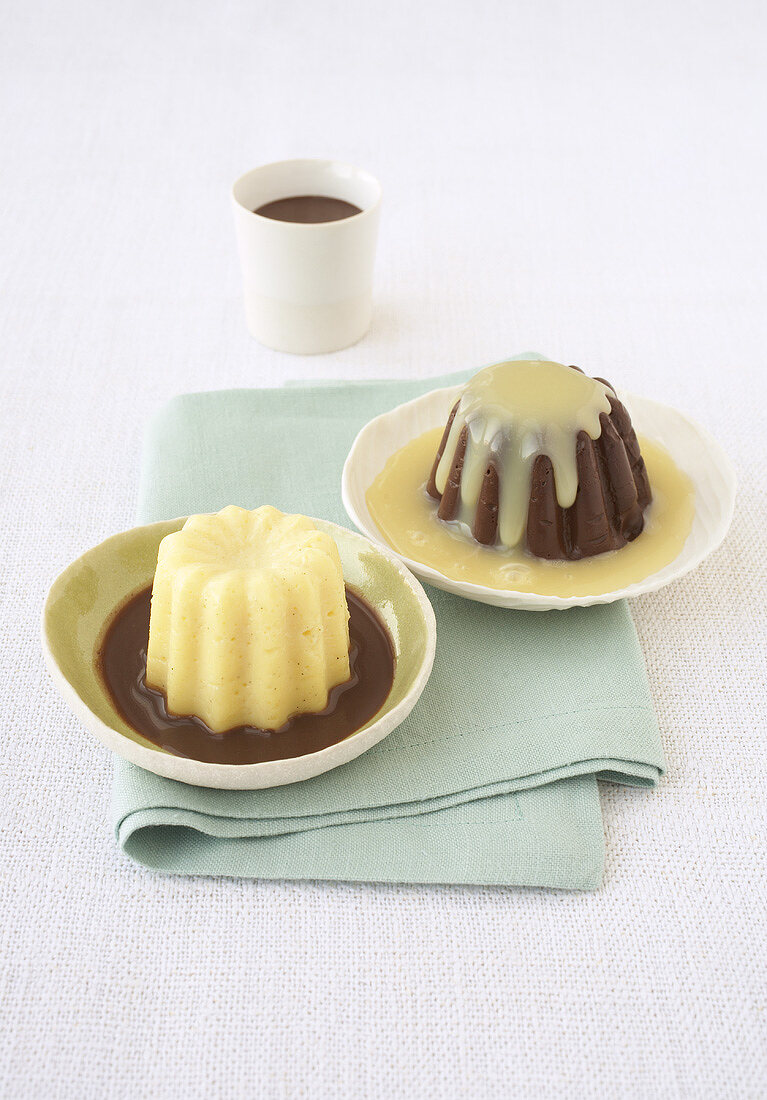 Vanilla and chocolate puddings with chocolate sauce