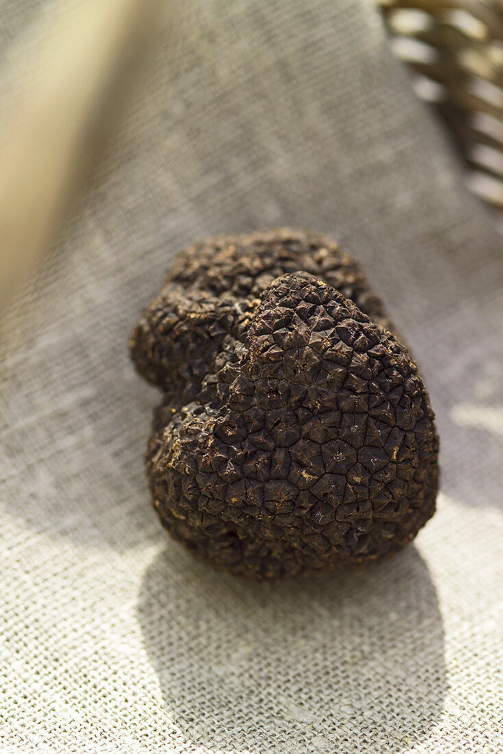 A black truffle on a linen cloth