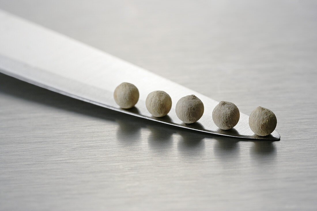 Five white peppercorns on a knife blade
