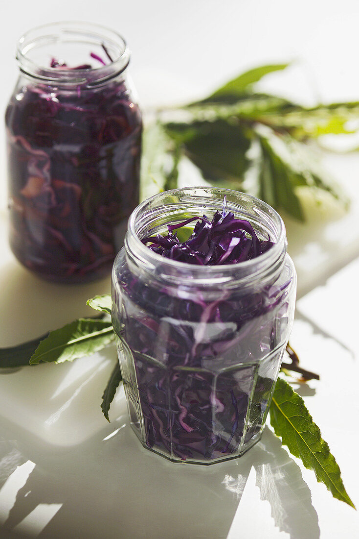Pickling red cabbage in two screw-top jars