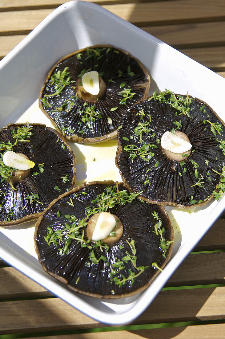 Mit Olivenöl, Thymian und Knoblauch gewürzte Portobello-Pilze