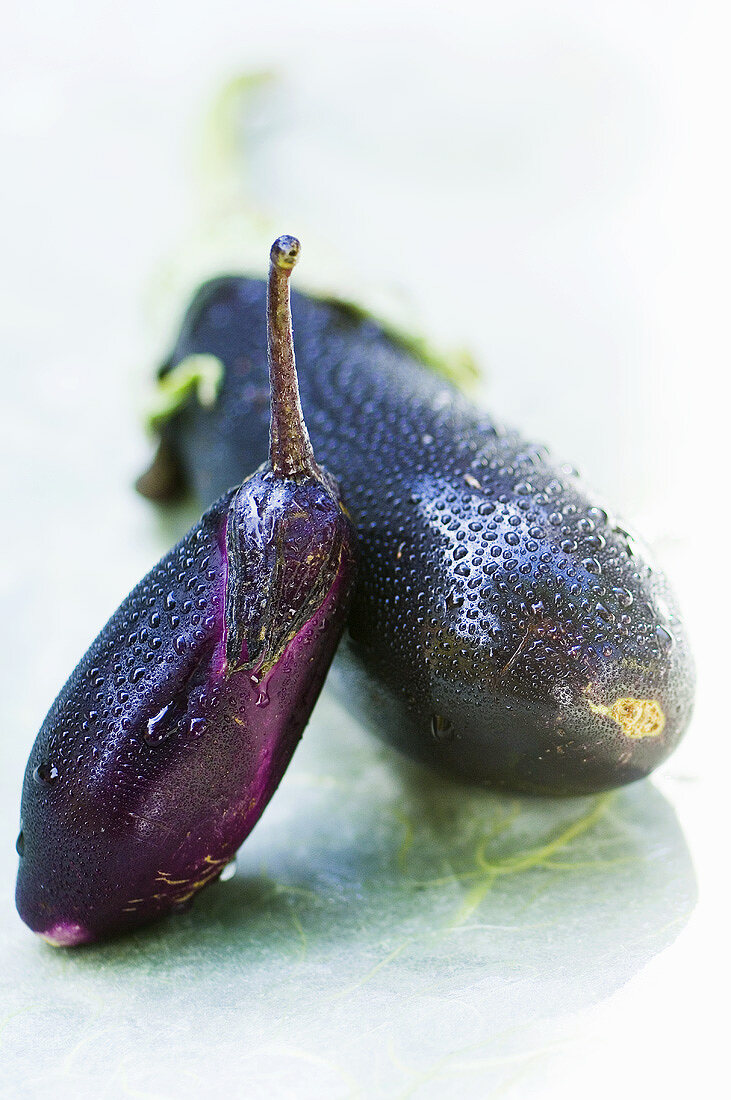 Two fresh aubergines with drops of water