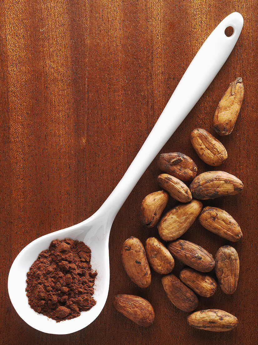 Cocoa beans and cocoa powder on a porcelain spoon