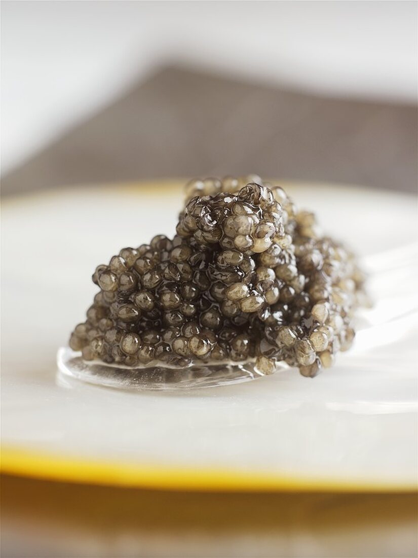 Ein Plastiklöffel mit grauem Kaviar
