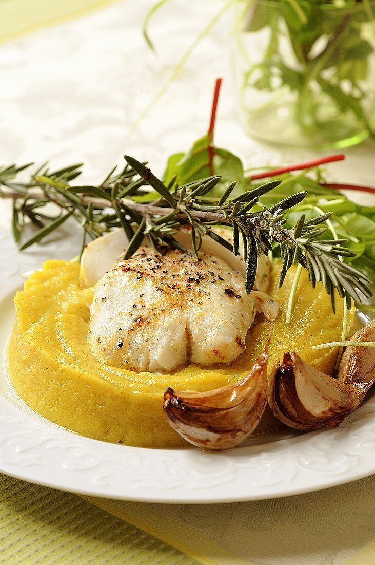 Fried cod with rosemary on parsnip puree