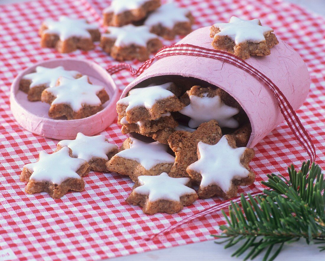 Cinnamon stars in upset gift box