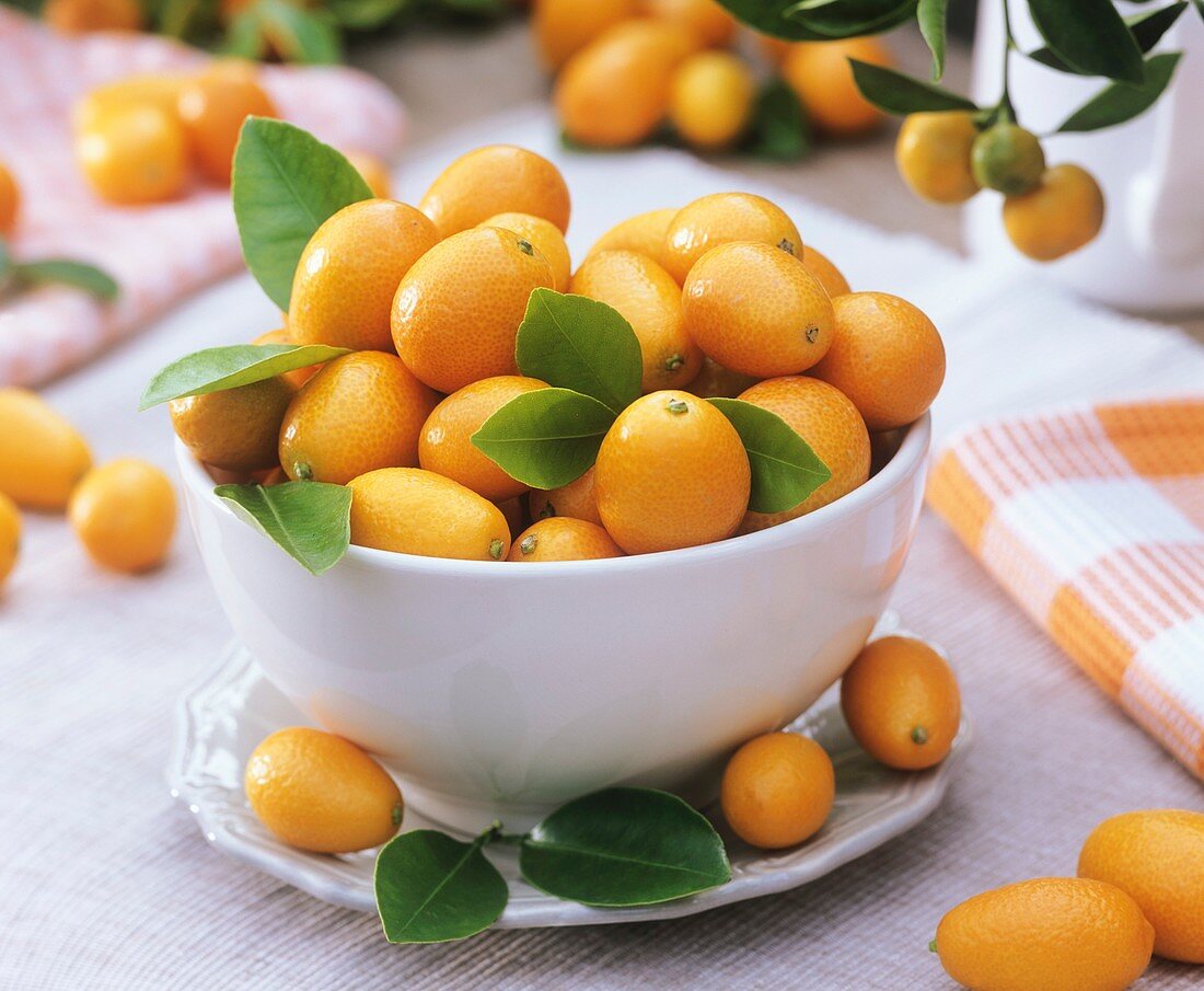 Kumquats in a bowl