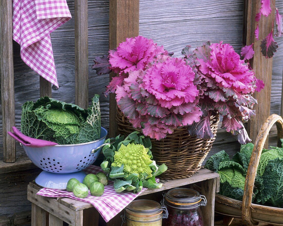 Savoy cabbage, Romanesco & Brussels sprouts on crate out of doors