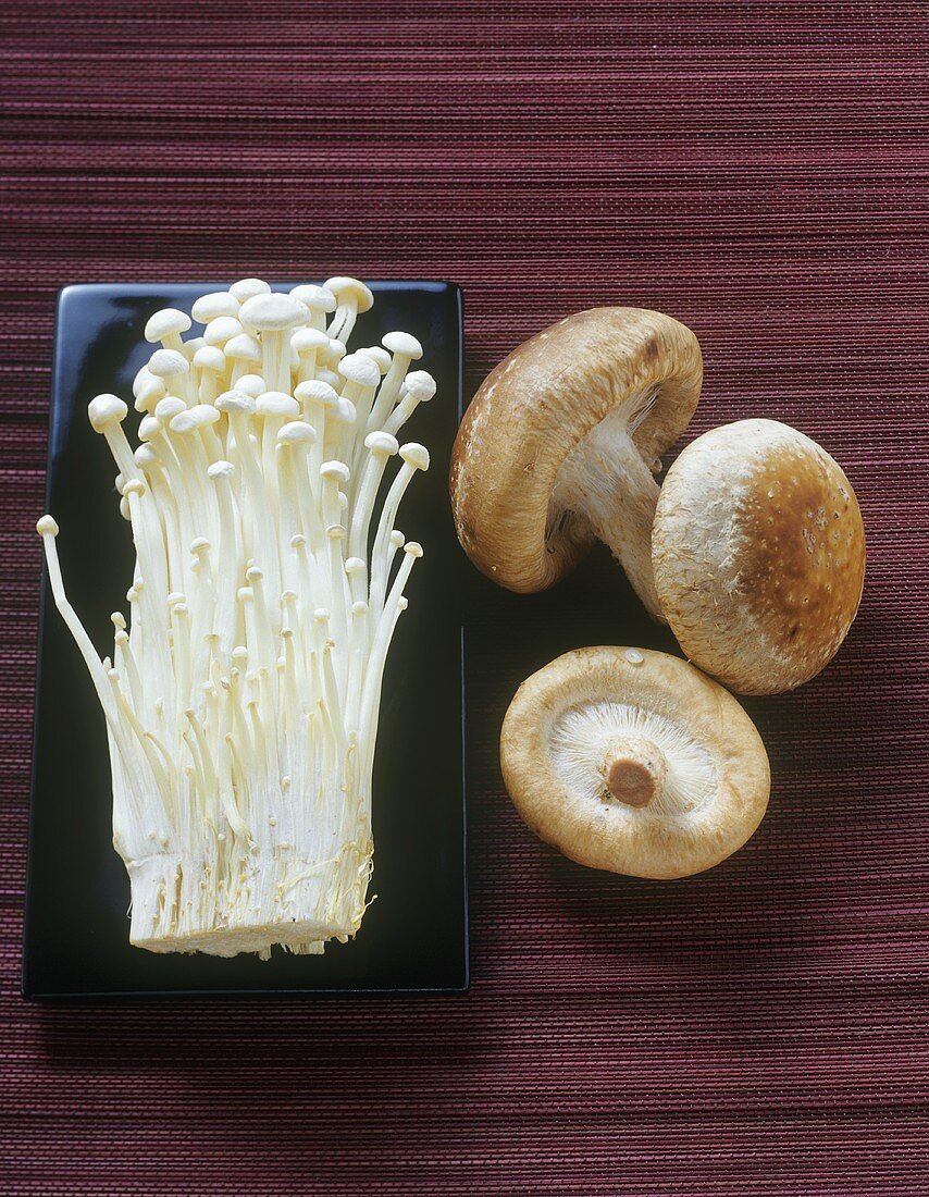 Enoki and shiitake mushrooms