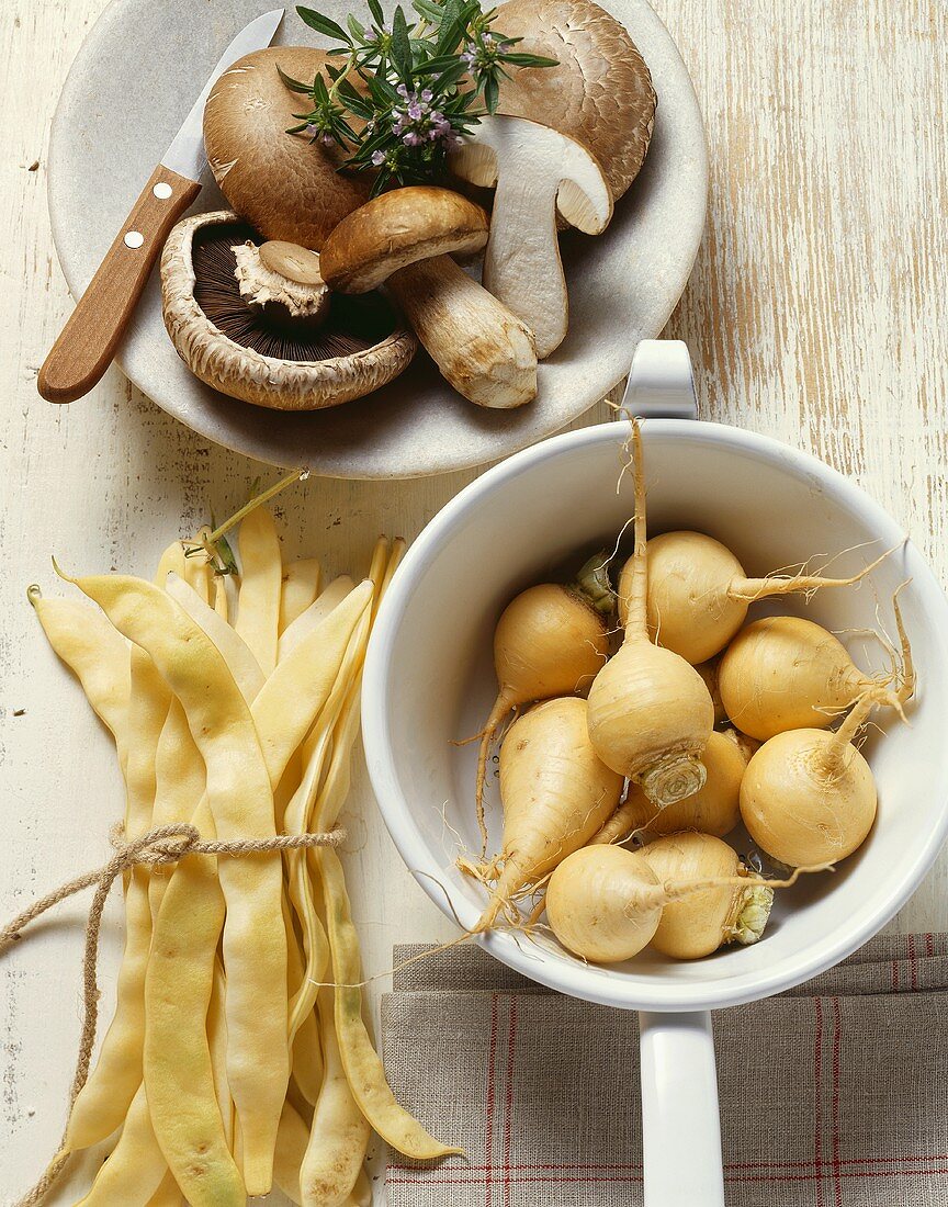Gemüsestillleben: Pilze, Bohnen und Teltower Rübchen