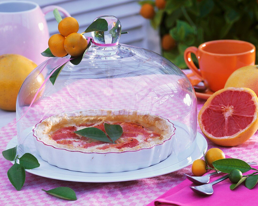 Grapefruit tart in tart dish under glass dome out of doors